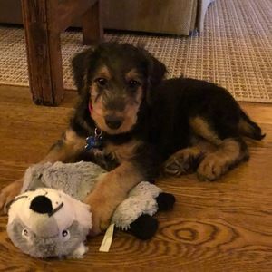 Meet your Posher, Sheryl